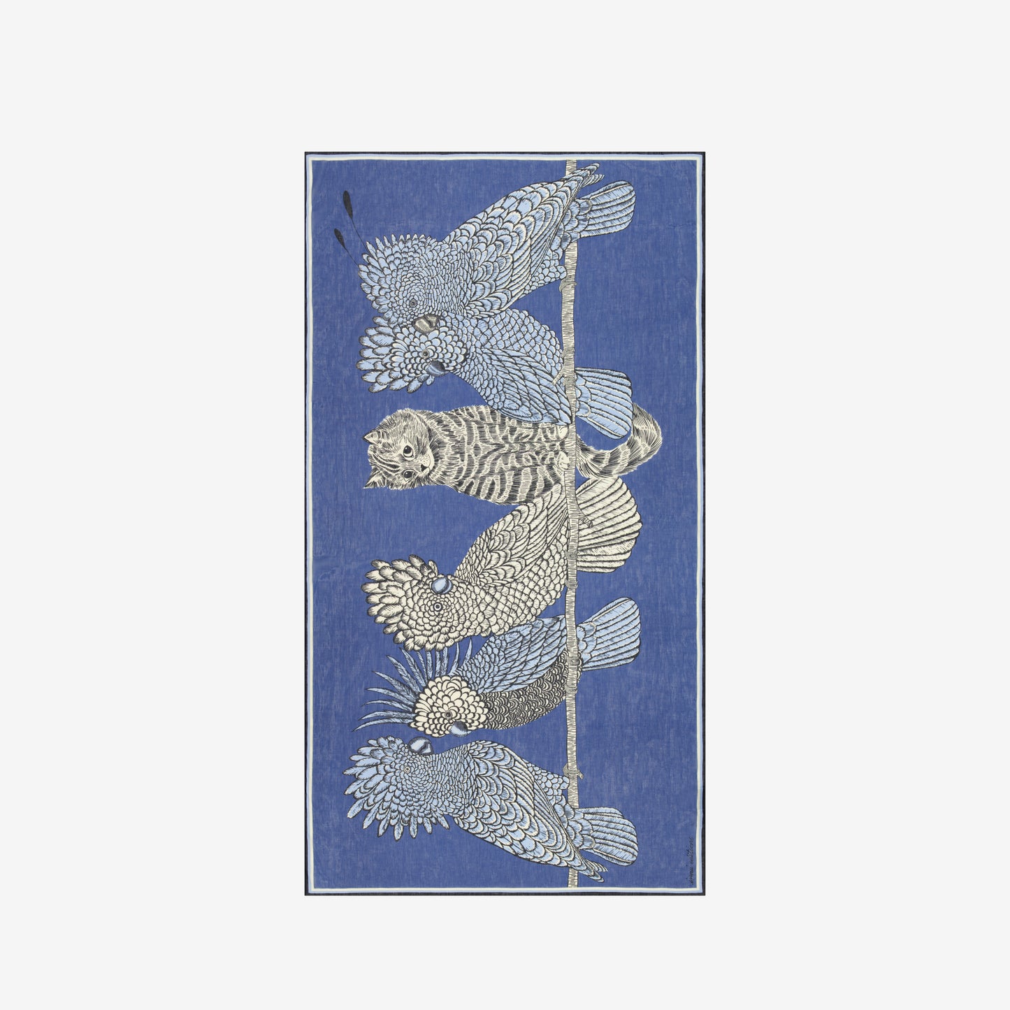 Scarf 100 - Caracat - Blue