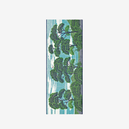 Scarf 70 - Ambroise - Green